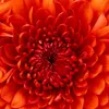 Marjorie Parry367 - @marjorieparry367 - TikTok