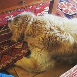 Marjorie Patterson - @pattersonmarjorie - Instagram