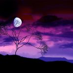 Marjorie Weaver-Patton - Facebook