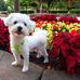 Marjorie Pendleton - Facebook