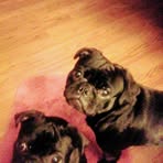 Marjorie Poor - Facebook