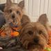 Marjorie Potts - Facebook