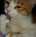 Marjorie Pratt - Facebook