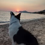 Marjorie Raux - @marjorieraux - Instagram