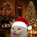 Raidon Majie - Facebook