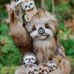 Marjorie Reitman - Facebook