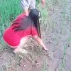 Princes - @marjorie.robles6 - TikTok