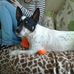 Marjorie Rose - Facebook