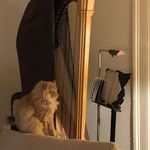 Marjorie Rosenberg - @sykeshollowvt - Instagram
