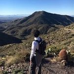 Marjorie Rothstein - @marjorie.rothstein - Instagram