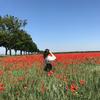 marjorie_schw - @marjorie_schw - TikTok