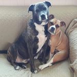 Marjorie Medlow-Sims - @medlowsims - Instagram