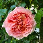 Marjorie Spencer - @mspen12349 - Instagram