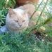 Marjorie StClair - Facebook