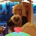 Marjorie Sterling Miller - Facebook