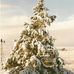 Marj Strait - Facebook