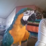 Marjorie Stratton Cruse - Facebook
