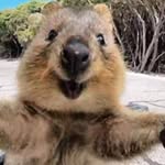 Marjorie Sutter - @sutter4450 - Instagram