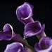 Marjorie Talbot - Facebook