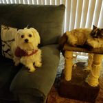 Kay Marjorie Teague - @teague1347 - Instagram