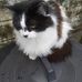 Marjorie Turner - Facebook