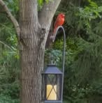 Marjorie Weeks - Facebook