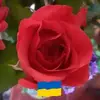marjoriewilde302 - @marjoriewilde302 - TikTok