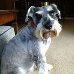 Marjorie Williamson - @marjoriewilliamson8854 - Instagram