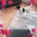 Marjory Williamson - Facebook