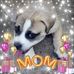 Marjorie Windham - Facebook