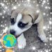 Marjorie Windham - Facebook