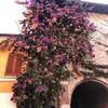 Marjorie Wittmer - @marjorie.wittmer - TikTok