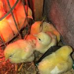 Marjorie Wolf - @wolfm2604 - Instagram