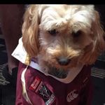 Mark Abbott - @mark.abbott.754 - Instagram