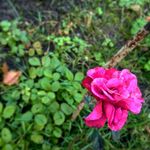Mark Abrams - @mark_kolabrams - Instagram