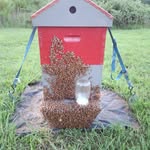 Mark Adair - @adair1970 - Instagram