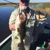Mark Adams - @615adams - TikTok