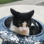 Mark adams - @mradams2116 - Instagram