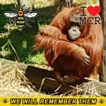 Mark Addis - @bugger4abargain - Instagram