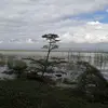 mark_addis - @mark_addis - TikTok