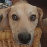 Mark Aden - @markaden07 - Instagram
