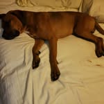 Mark Agan - @markagan268 - Instagram