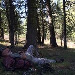 Mark Ahlers - @eurekapt - Instagram