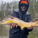 Mark Ahmadi - @markahmadi - Instagram