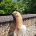 Marc Arendt - Facebook