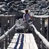 Markus Aichele - @markusaichele - TikTok