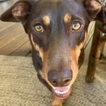 Mark Albiez - @mark.albiez - Instagram