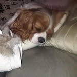 Mark Albury - @malbury45 - Instagram