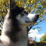 Mark Albury - @kernow__ - Instagram
