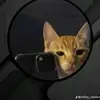Mark Aleon - @mark.aleon - TikTok